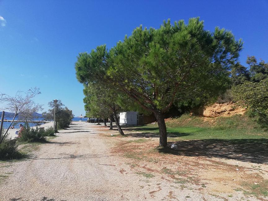 Danyja Apartments Sveti Filip i Jakov Luaran gambar